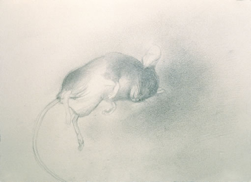 Untitled, pencil on paper, 5 x 6 inches, c. 1974